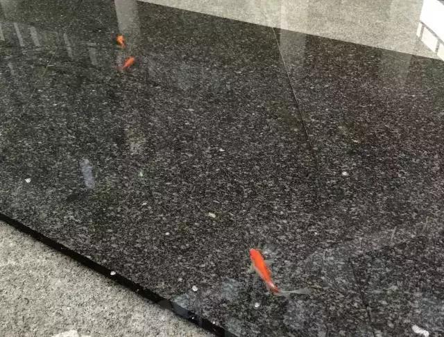 网易实习很难进吗,在网易实习是一种怎样的体验