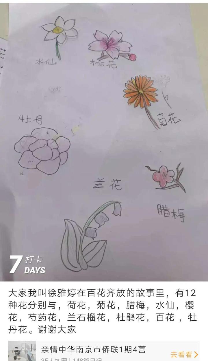 夏令营华裔青少年,南京青少年出国夏令营学校