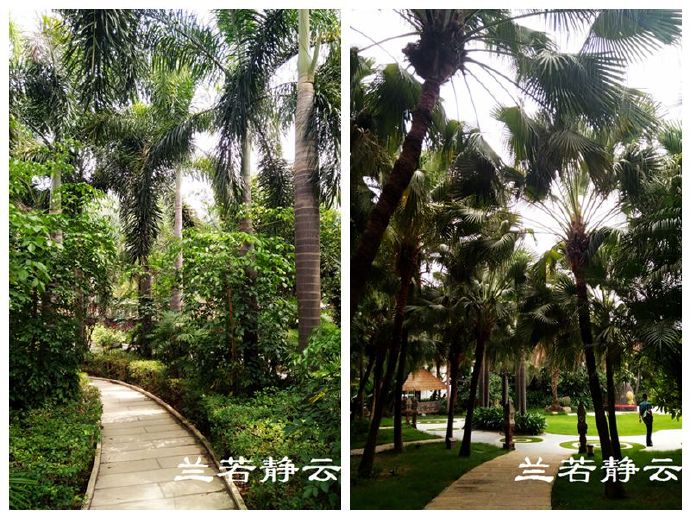 厦门日月谷温泉酒店预订价格,厦门日月谷温泉酒店套餐