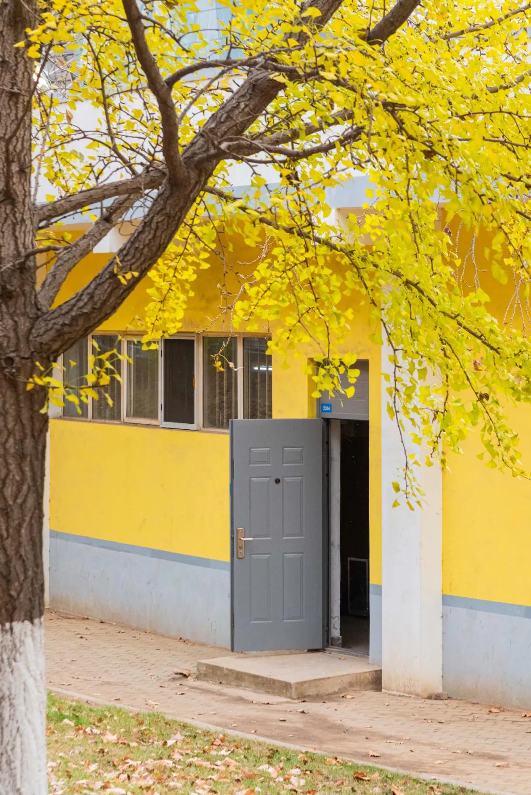 醉美大工秋|读书不觉已秋深，____________