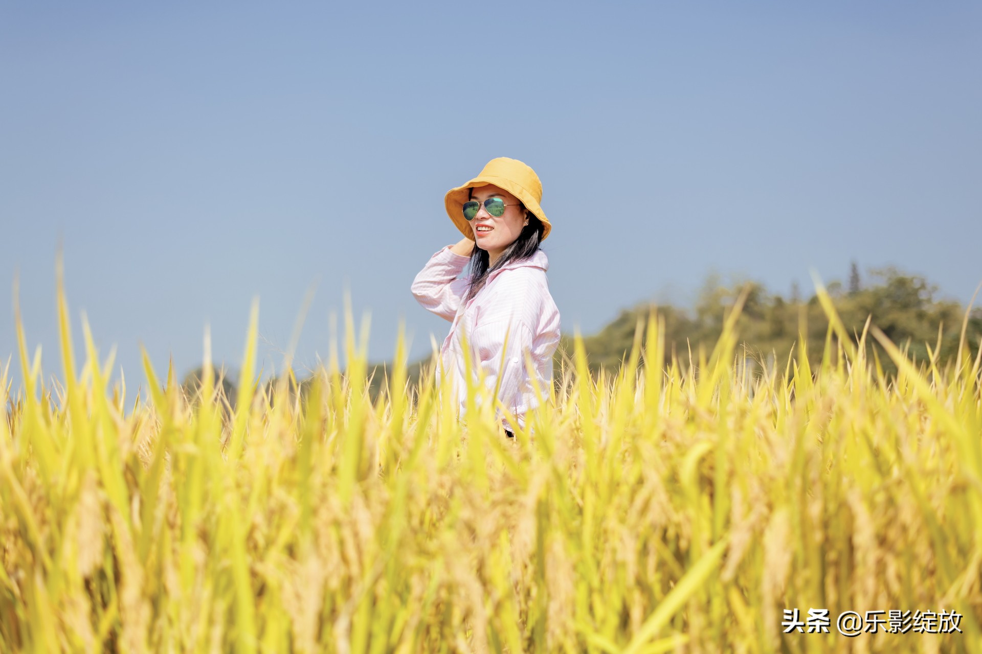 带小花狗去野外生存,带着小花去兜风
