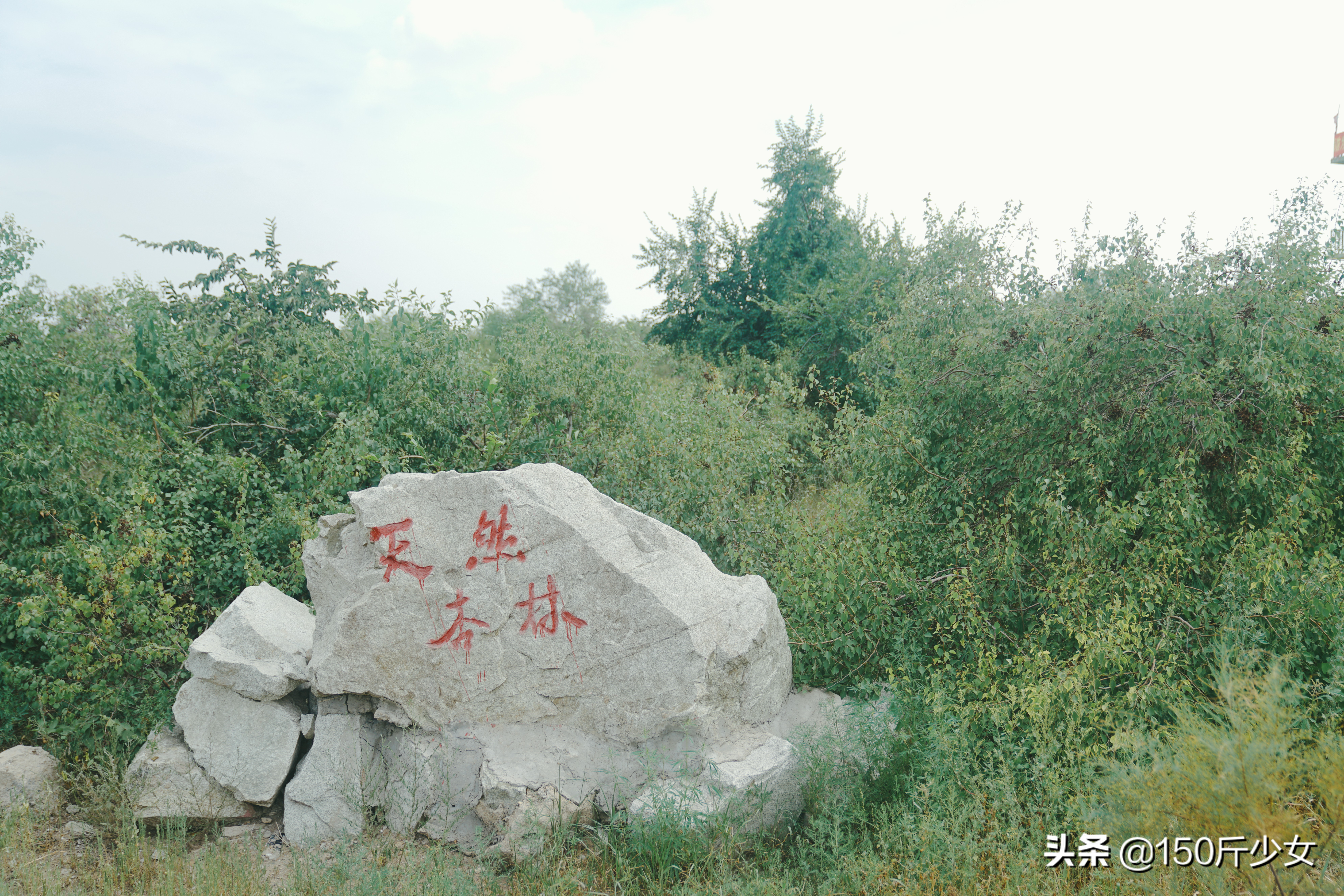 随心所欲玩转吉林！6天5晚人均1000自驾游，吉林现在也很美