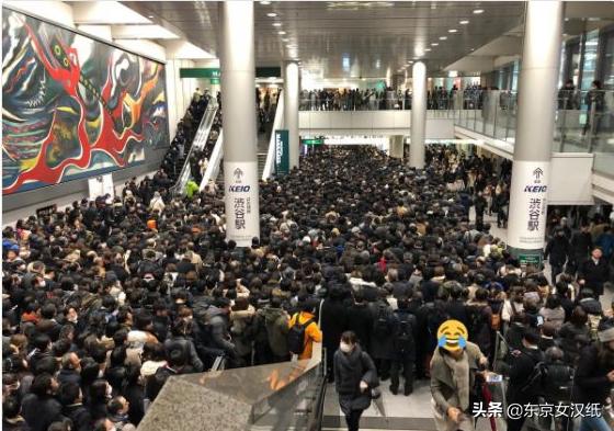 多灾多难的日本,多灾多难的2017