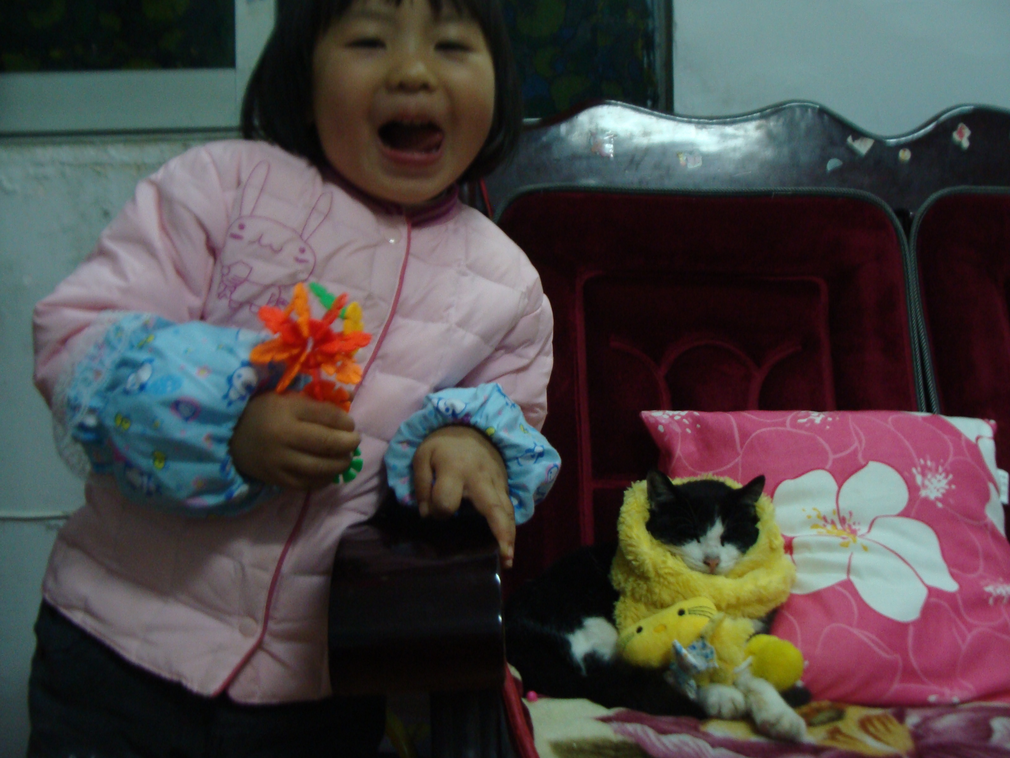 又是一年五一了，想念我的第一只宠物猫，小小黑猫警长猫咪