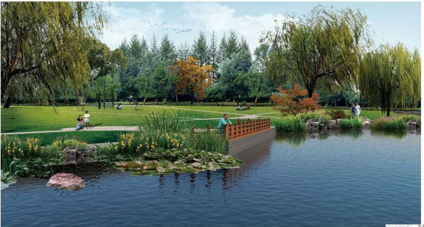 新区天鹅湖公园,天鹅湖生态公园