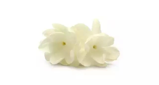 摆盘装饰花草叫什么名字,厨房摆盘装饰花草名称