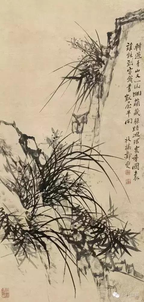 郑板桥画的是兰花还是兰草,郑板桥画的兰