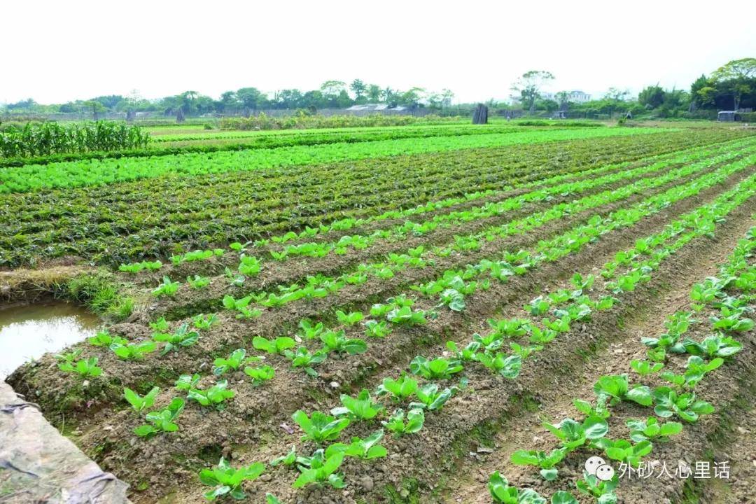 汕头市居民医保2024年缴费时间,汕头2025居民医保