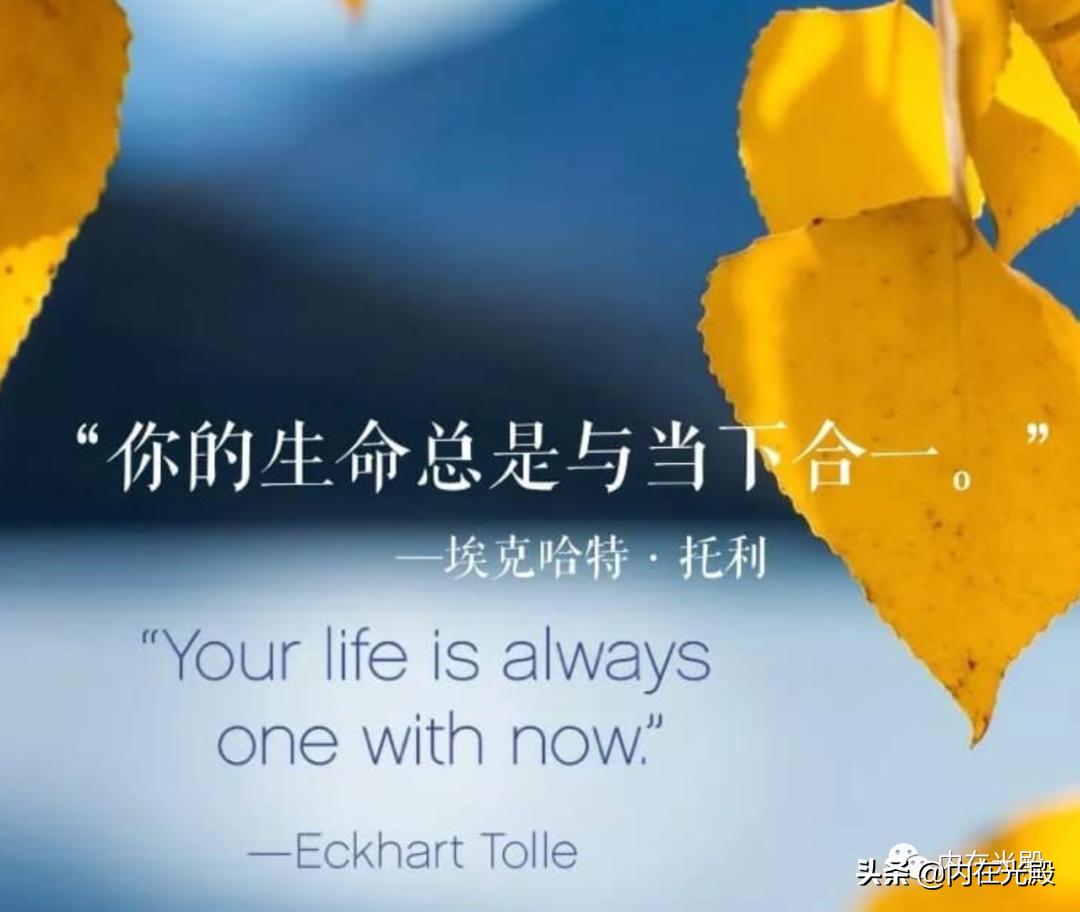 亚健康的句子经典语录,调理亚健康专业知识话术