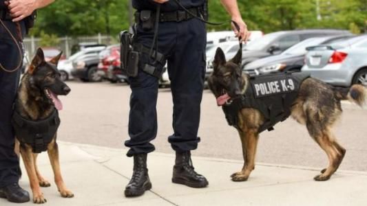 洛杉矶swat特警队,实拍洛杉矶swat特警队