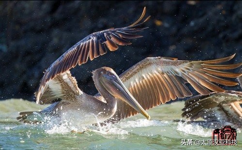 拍照过程中怎样才能拍出清晰图片,拍照如何处理背景