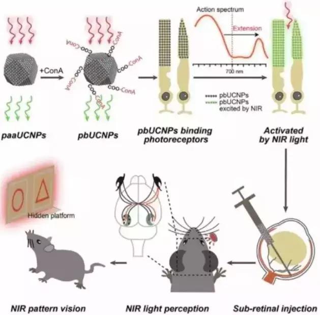 美国黑科技眼药水,美国研制的近视眼药水