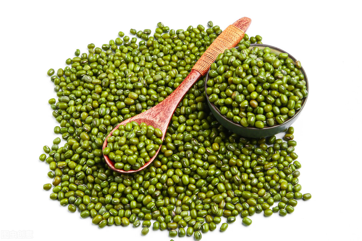 夏天绿豆和什么一起煮比较好,食用绿豆的最佳时间