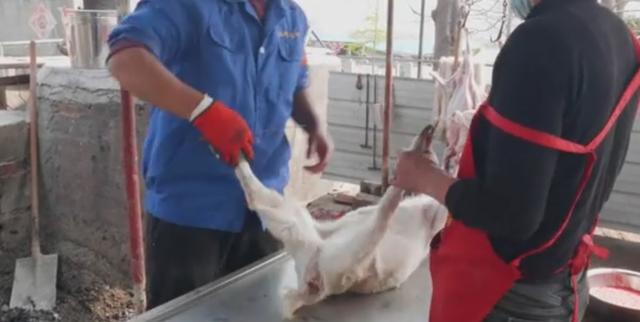 山东大叔独门烤全羊一天烤七八只,山东山沟烤全羊