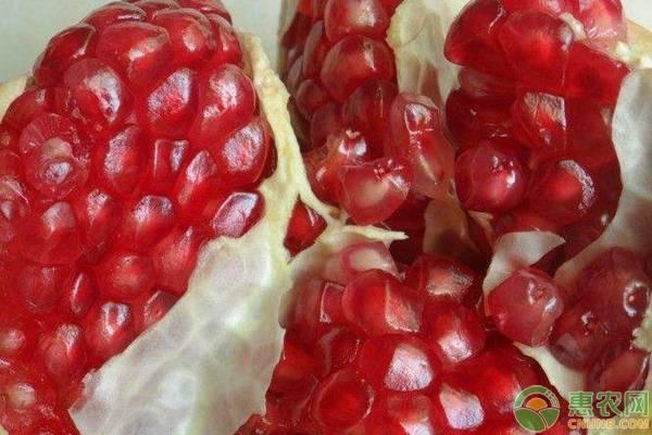 石榴种植技术和管理,石榴的栽培管理需要注意什么