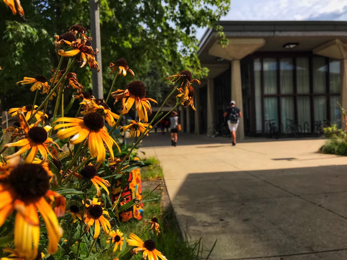 除了金融还有什么职业,金融投行类的工作叫什么