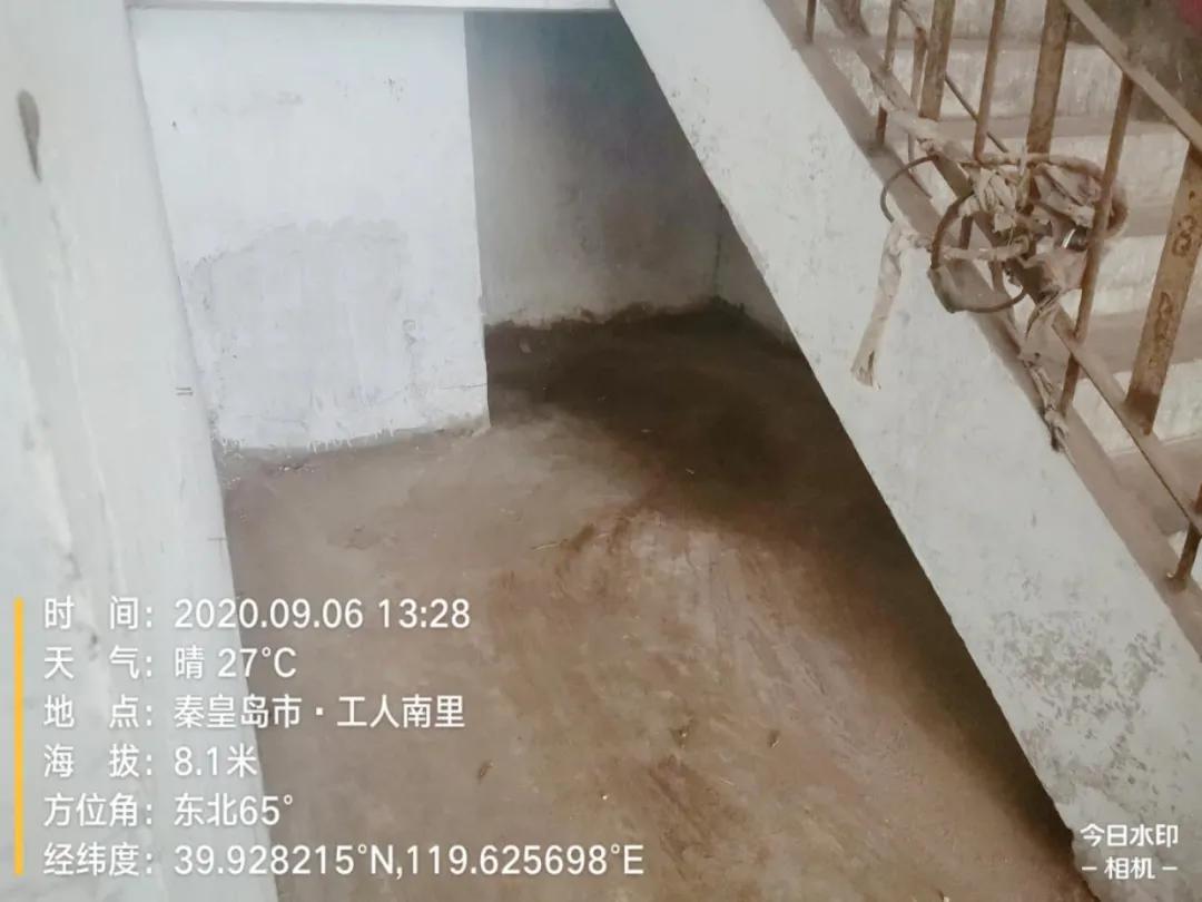 创城攻坚社区在行动,创城创卫新闻最新