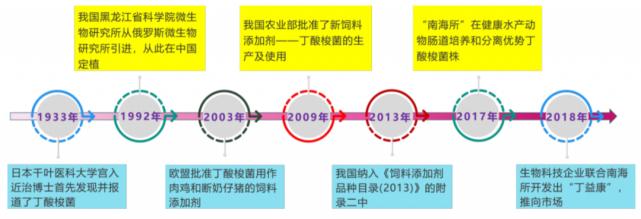 肠道菌的功效与作用,丁酸梭菌对水产动物肠道的作用