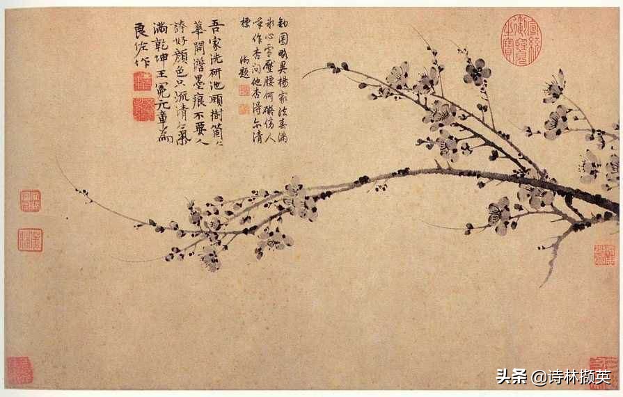 王冕的十首梅花诗句,王冕诗词只留清气满乾坤