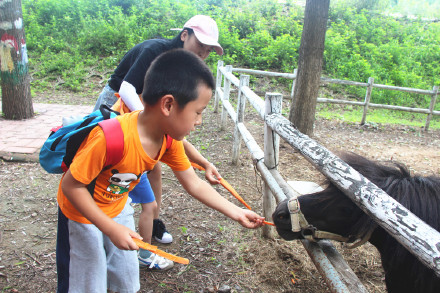 喂萌宠，捡鸡蛋，大自然里快乐多，精诚文化学校暑期班走进大自然