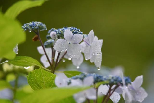 昆明周边一日游最值得去的地方,昆明周边一日游的地方推荐