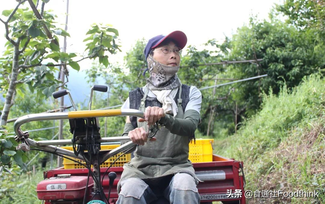卫生纸,真的卫生吗?世界厕所日,重新理解“道在屎溺”