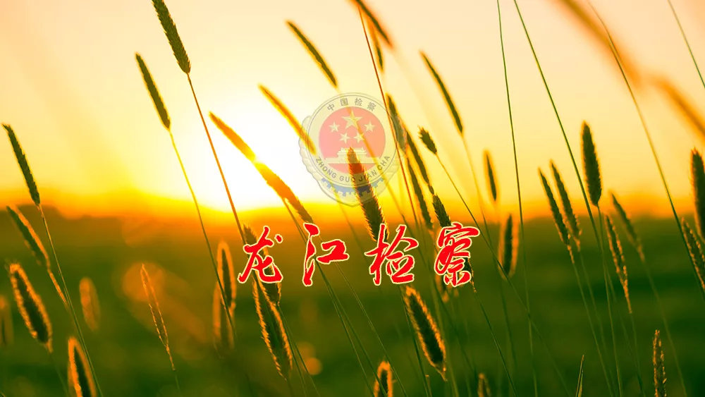 守护成长护苗行动直播,守护成长直播简报