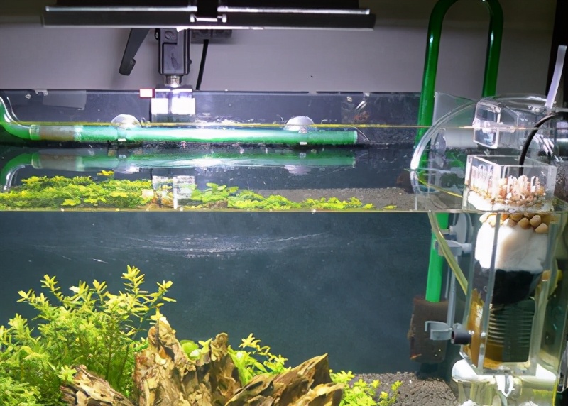 养鱼怎么选择合适的鱼缸,鱼缸如何养好水讲解