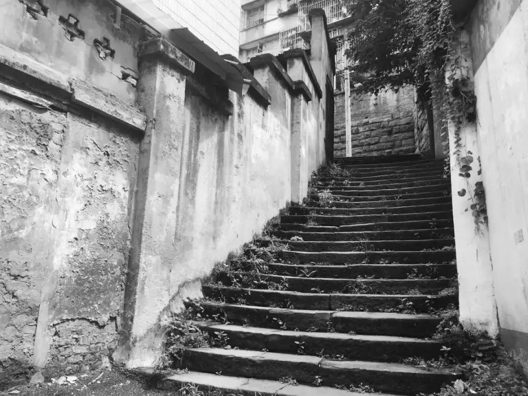 李家沱发展历史,李家沱曾经的辉煌