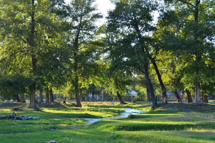 “*疆新**比任何地方安全”一文阅读者众,诸多回复让我流泪