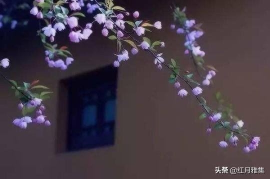 谁许我三生三世,谁引我魂牵梦绕?