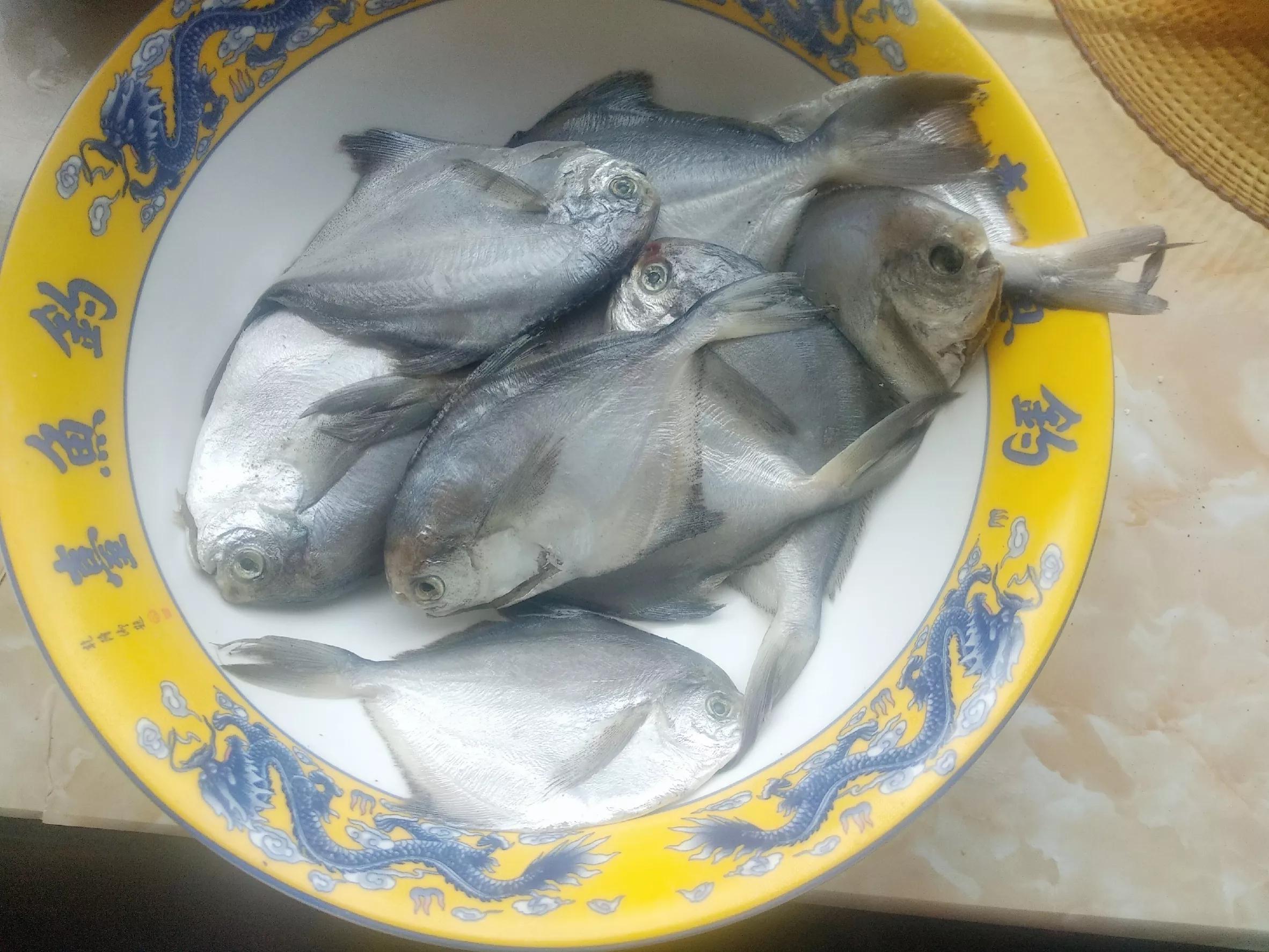 北方沿海“4大名鱼”都有啥？中秋前后正肥美，遇到别忘尝尝鲜