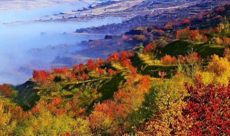 秋分秋色平分寒暑匀,暑离秋往秋分节气