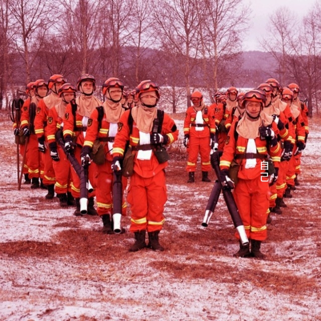 中国人民武装警察部队森林消防,武装森林警察部队