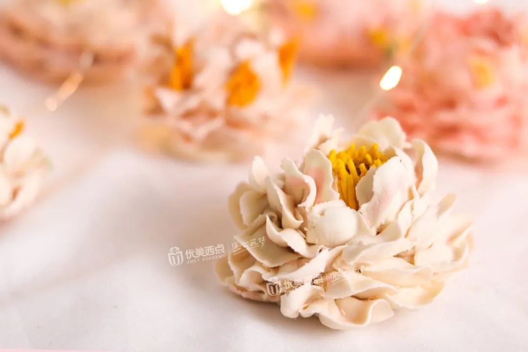 想转行学西点看你要学哪些,转行西点去哪里学最好