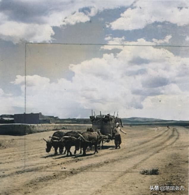 7080年代内蒙古四子王旗老照片,内蒙古四子王旗乌兰花高清图