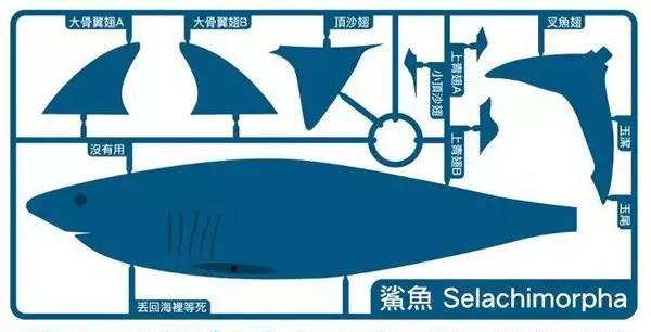 燕窝海参鱼翅花胶八珍,鱼翅为古代八珍之一