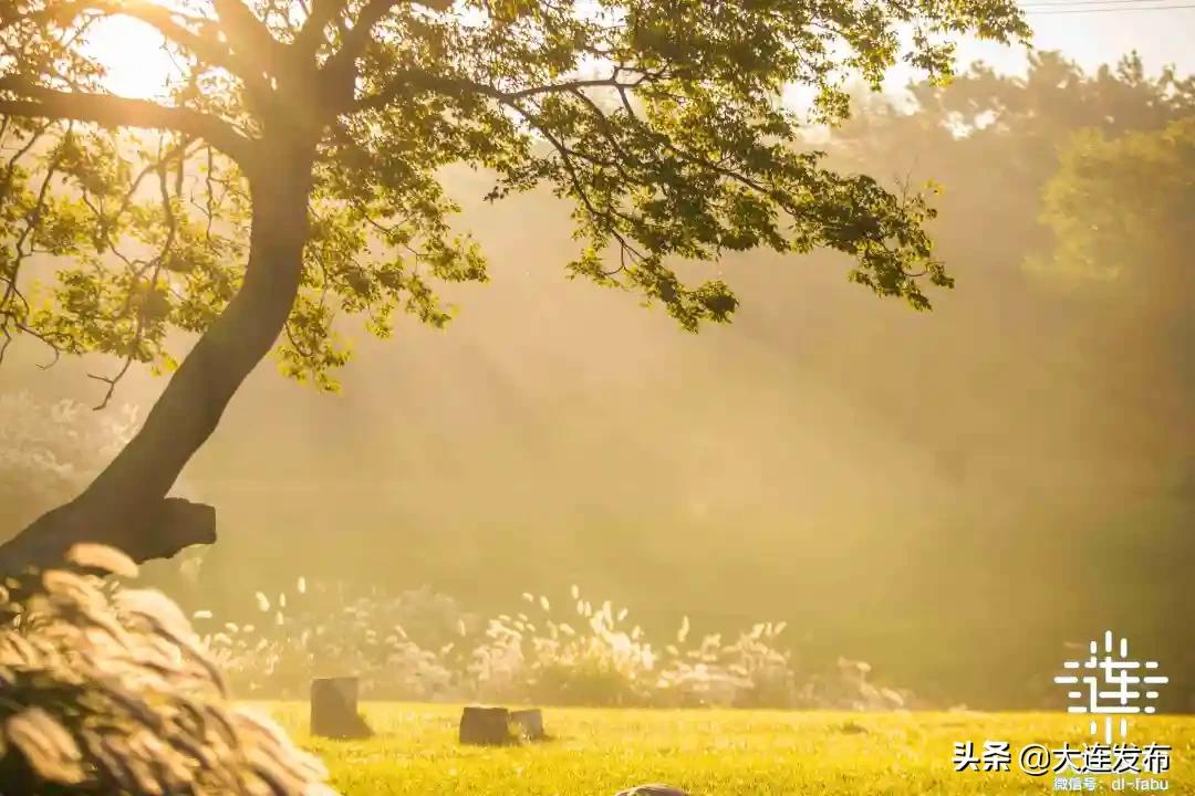 大连地区中秋出游攻略,大连中秋节旅行攻略
