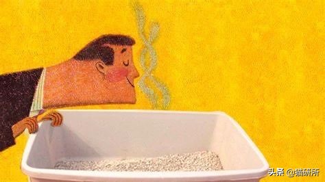 猫咪乱尿科学解释,猫咪乱尿是泌尿系统出问题了吗