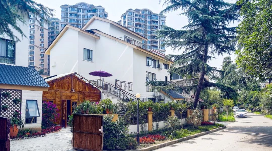 民宿投资合伙人骗局,以做民宿投资为由的骗局