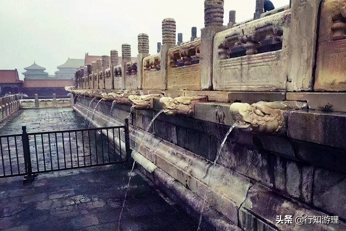 「共63题」强国争上游答题中的“动物世界”专题（最全辨析）