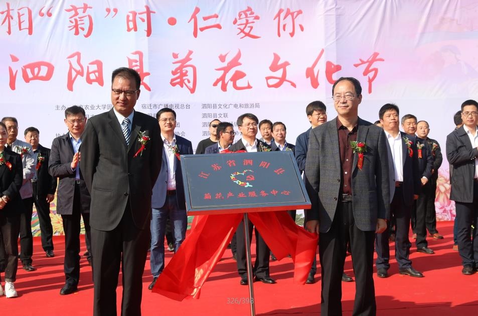 泗阳菊花展,菊花文化节通许分会场开幕