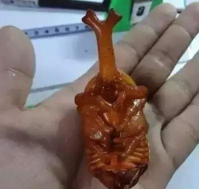 重口味慎入！美女玩起了大肉虫子，竟盘得又红又亮！