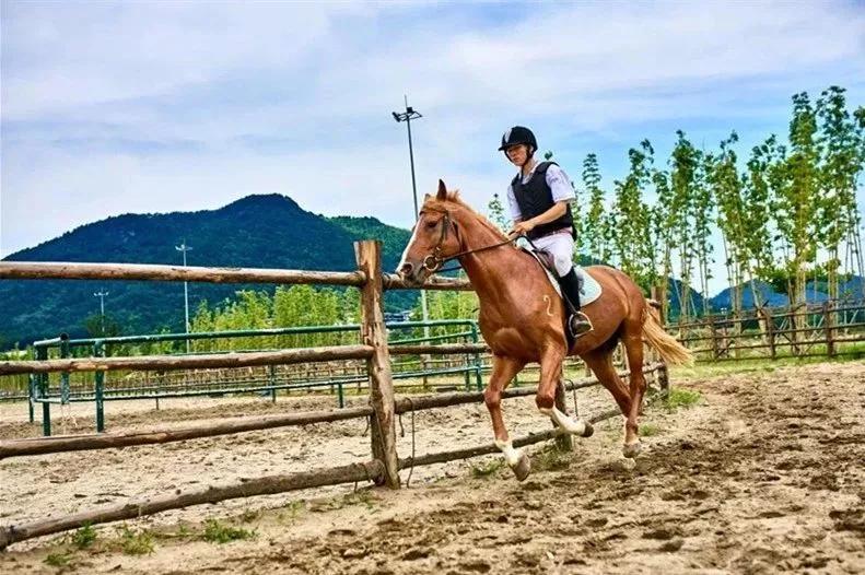 浙江省的一颗明珠城市,浙江安吉美丽风景