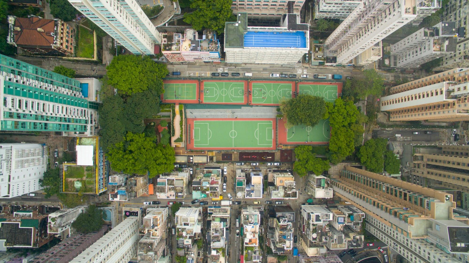 国外段子手:守护我们最好的教练!一起输看一下谁先下课