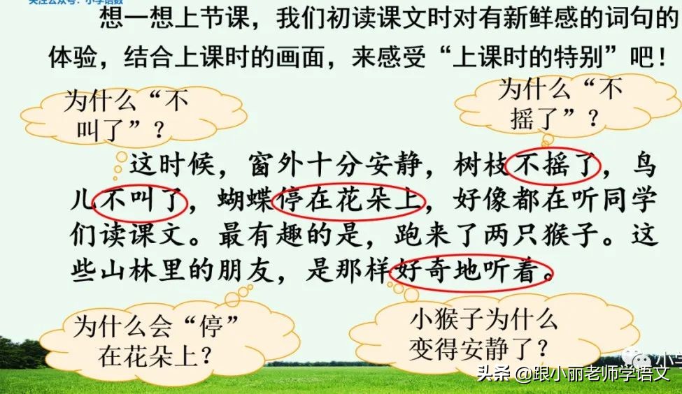 大青树下的小学重要背诵内容,大青树下的小学重点知识点