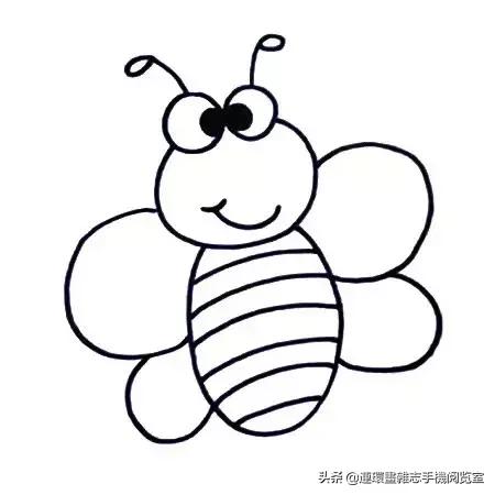 可爱的小昆虫简笔画,我认识的昆虫简笔画