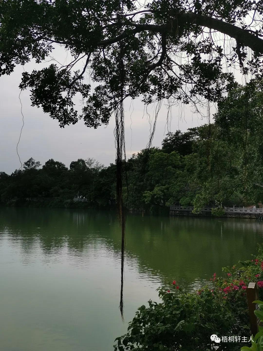 五彩斑斓秋之美,最美广州秋