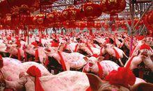 二月二龙抬头节日介绍,二月二龙抬头的习俗吃什么