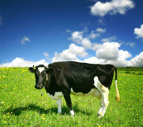 一周半奶粉推荐,可选配方全的奶粉